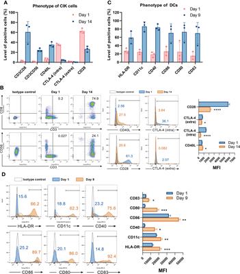 Anti-CD40 predominates over anti-CTLA-4 to provide enhanced antitumor response of DC-CIK cells in renal cell carcinoma